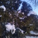 Фотография "Ст.Шахтная, 12 марта, 6-30 утра, -9 мороза."