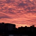 Фотография " Рассвет на Кольском полуострове. Розовые облака."