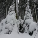 Фотография "O iarna de poveste la Winterberg, februarie 2015"