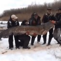 Фотография от Александр Силаев