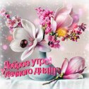 Фотография от Светлана 🌺 🌺 🌺 🌺 🌺 🌺 🌺