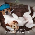 Фотография от PERSONA VET