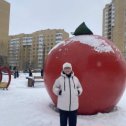Фотография "Яблоко опять замерзло!"