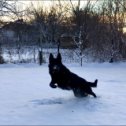 Фотография от Алексей Шильцов