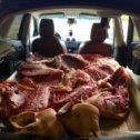 Фотография "Вкусная деревенская свининка мясной породы ЛАНДРАС на воскресенье 19 мая 89039442144"