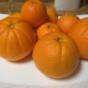 Фотография "Январские апельсины"