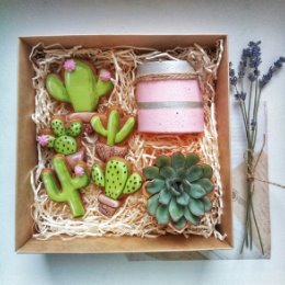 Фотография "Подарочный набор!🎉 В набор входит дизайнерский горшок из бетона,суккуленты или кактусы от https://m.vk.com/florarium_orel_ecoshar и мои ароматные пряники- кактусы🌵 ручной работы "