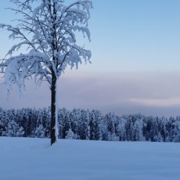 Фотография от Помилов Виктор