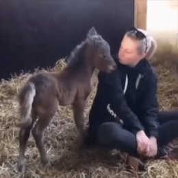 Фотография от людмила запорожченко-гандапас