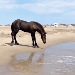 Фотография от Василий Сучков