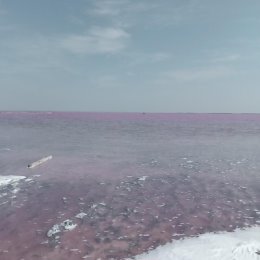 Фотография "Розовое озеро, Сасык-Сиваш, Евпатория, Крым "