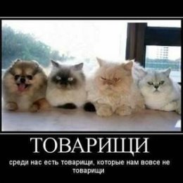 Фотография от RU TU