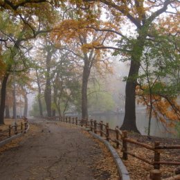 Фотография от Денис Лепёхин