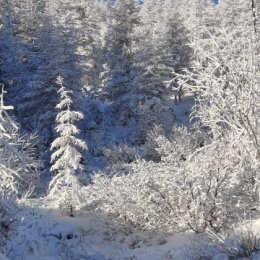 Фотография от Евгений Пинемаскин