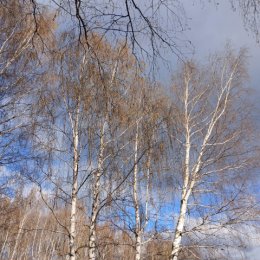 Фотография от Галина Марсель(Буренкова)