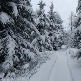 Фотография от Наталья Копнина (Любишкина)