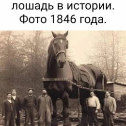 Фотография от ЛЮДМИЛА ЗОБЕНКОВА(ВОЛЧЕК)