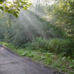 Фотография от Ольга  Аванесова