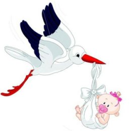 Фотография "Белый аист длинноногий прилетел сегодня  в дом и оставил на пороге свёрток с милым малышом! 07.02.24 "
