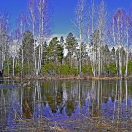 Фотография от Елена Пятакова(Твиликова)