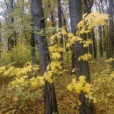 Фотография от Дима Назарук