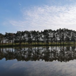 Фотография от Надежда Наумова (Гурченко)