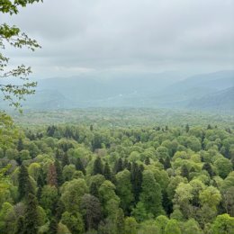 Фотография от Марина Левченко