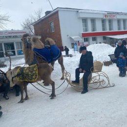 Фотография от Анатолий Непочатов