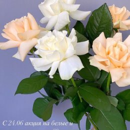 Фотография от Цветы и подарки КОЛИБРИ