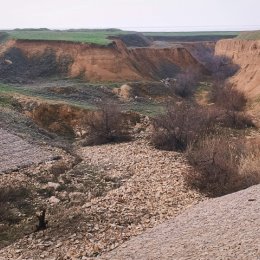 Фотография от Ирина Вертьянова (Петренко)