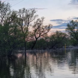 Фотография от Галина Медведева (Федотова)