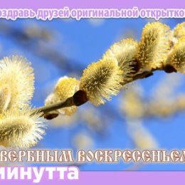 Фотография "Хочешь поздравить друзей красивой открыткой? Заходи к нам! http://www.odnoklassniki.ru/app/minutta"