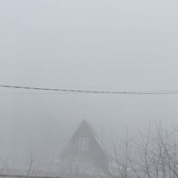 Фотография "Вот такой у нас бывает туман. "