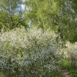 Фотография от Вероника Идрисова