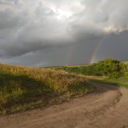 Фотография от Ирина Курлыгина