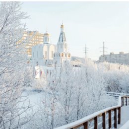 Фотография от светлана алексеевна