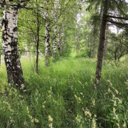 Фотография от Светлана Кокарева (Гусарова)