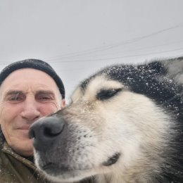 Фотография от Владимир Осипов