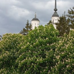 Фотография "Автор, Елена Анатольевна"