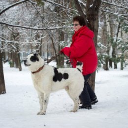 Фотография от Раиса Куликова(Клишина)