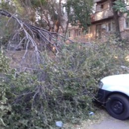 Фотография от Вадим Полянский