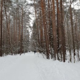 Фотография от Елена Пархомова