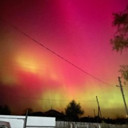 Фотография "Такая красота нас посетила сегодня"