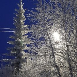 Фотография "Такая  красота  была  вчера  вечером"