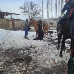 Фотография от ЖиВи без Страха На Пути аЛЛаха