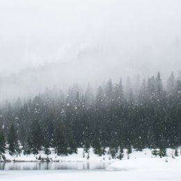 Фотография от Елена Калинина