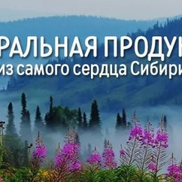 Фотография от Алиса Сибирское здоровье