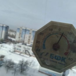 Фотография "Да уж- весна...+5, а снег не тает...
19.03.2024г."