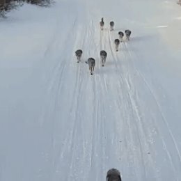 Фотография от Александра Беляева