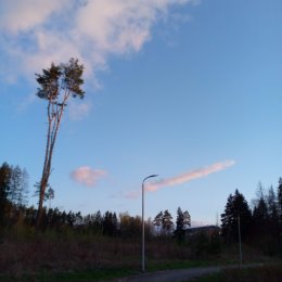 Фотография "А мне нравится !!!"